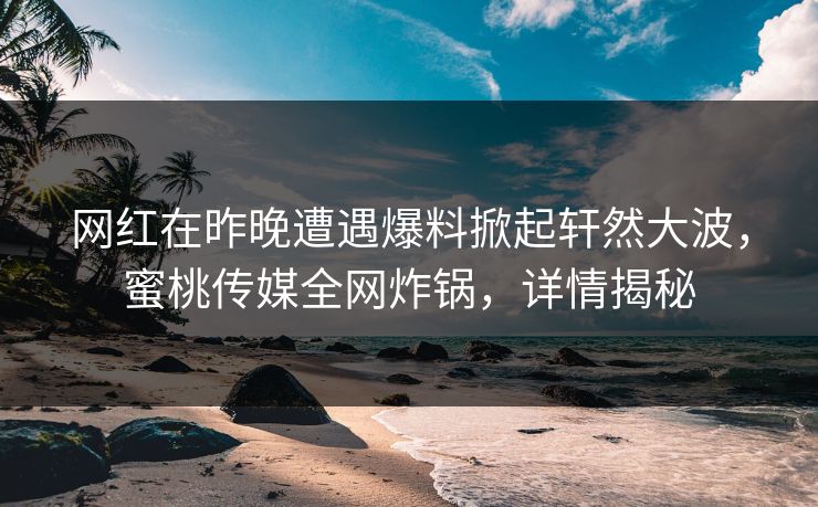 网红在昨晚遭遇爆料掀起轩然大波，蜜桃传媒全网炸锅，详情揭秘