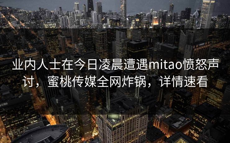 业内人士在今日凌晨遭遇mitao愤怒声讨，蜜桃传媒全网炸锅，详情速看