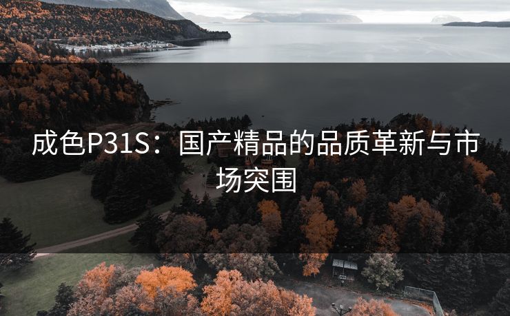 成色P31S：国产精品的品质革新与市场突围