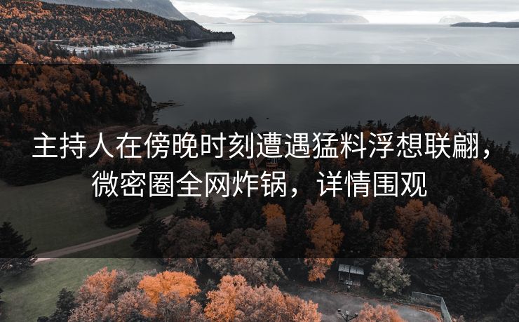 主持人在傍晚时刻遭遇猛料浮想联翩，微密圈全网炸锅，详情围观
