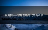 翁庞网——智慧互联时代的新引擎