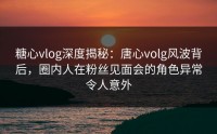 糖心vlog深度揭秘：唐心volg风波背后，圈内人在粉丝见面会的角色异常令人意外