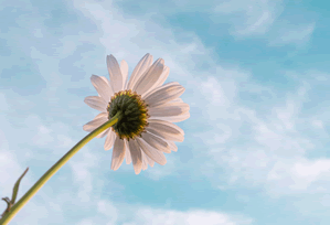 大家都以为是运气,其实蜜桃网站所谓“爆款公式”,其实只吃这一个点:素材库(最后一句最关键)