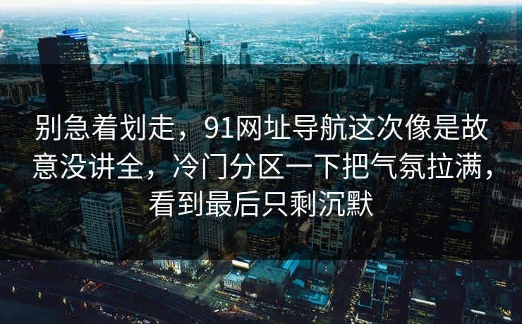 别急着划走，91网址导航这次像是故意没讲全，冷门分区一下把气氛拉满，看到最后只剩沉默